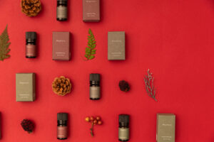 WAPHYTO by LS STUDIO